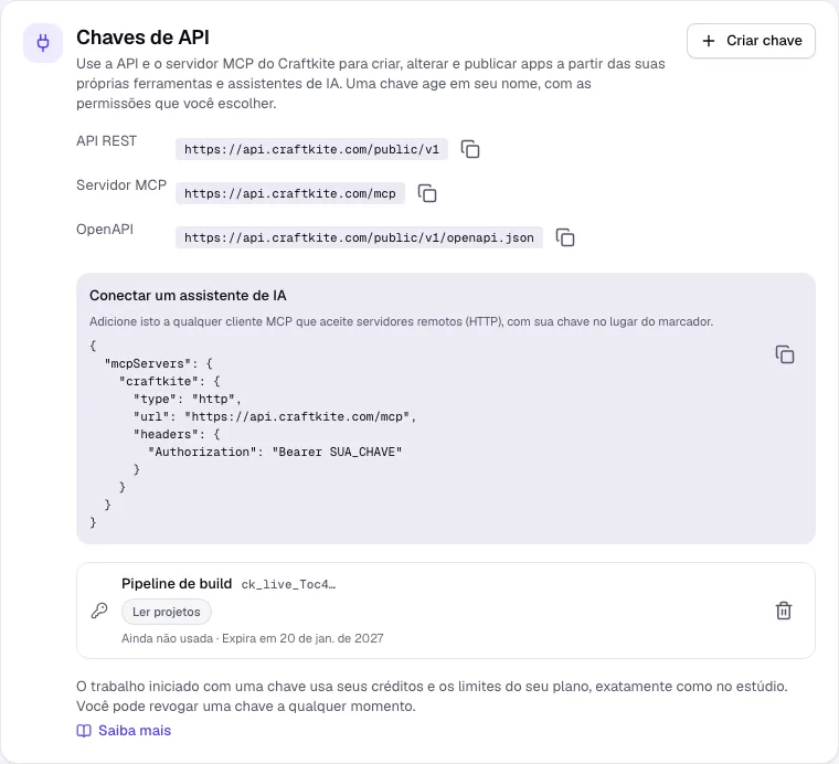 As chaves de API em Conta com os endereços REST, MCP e OpenAPI