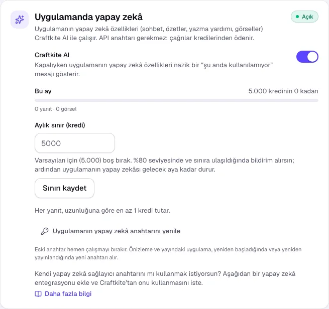 Yayınla sekmesinde Uygulamanda yapay zekâ: anahtar, kullanım ve aylık sınır