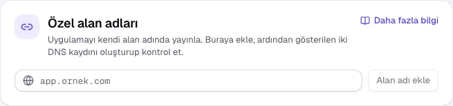 Yayınla sekmesindeki Özel alan adları bölümü