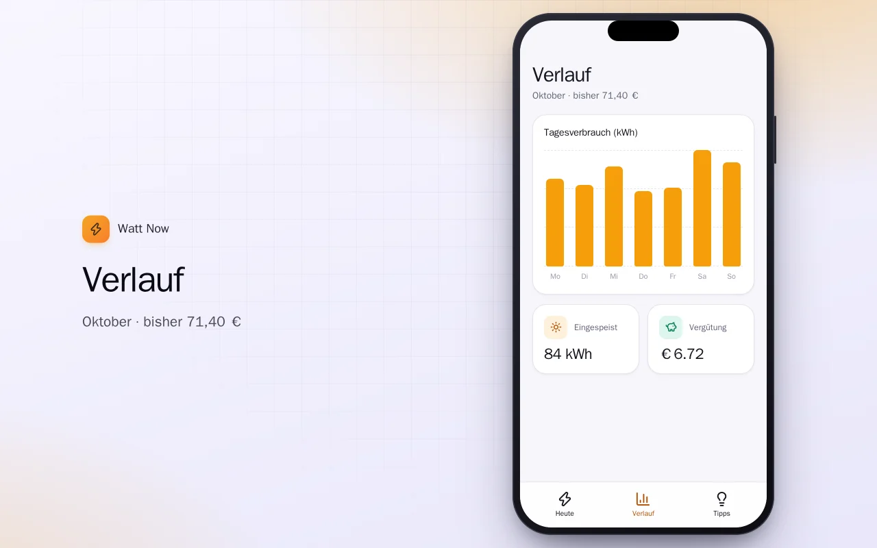 Energiemonitor fürs Zuhause: der Bildschirm „Verlauf“
