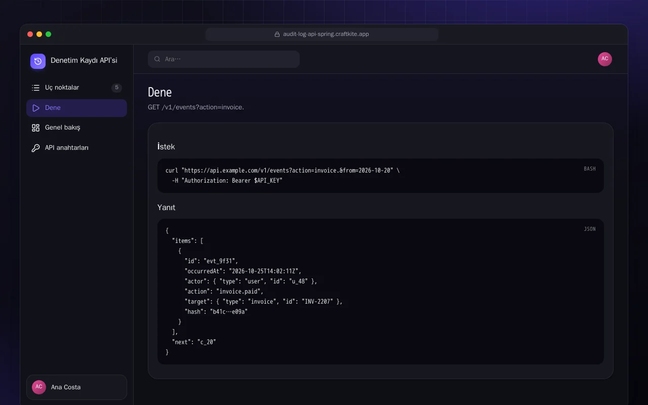 Denetim Kaydı API’si (Spring Boot): Dene ekranı