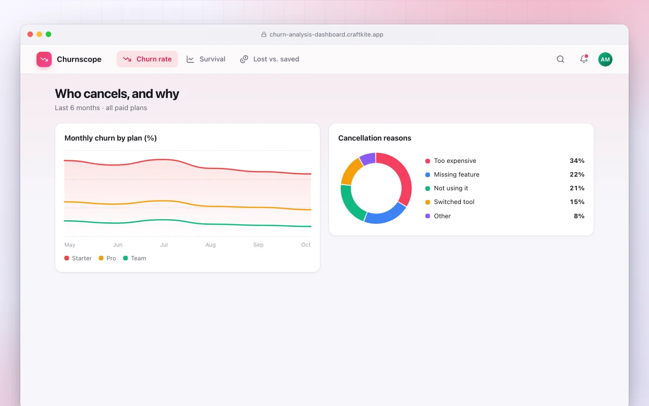 Churn analysis dashboard: the Who cancels, and why screen