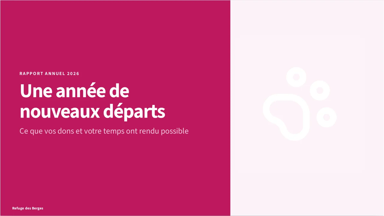 Capture de Année d’impact