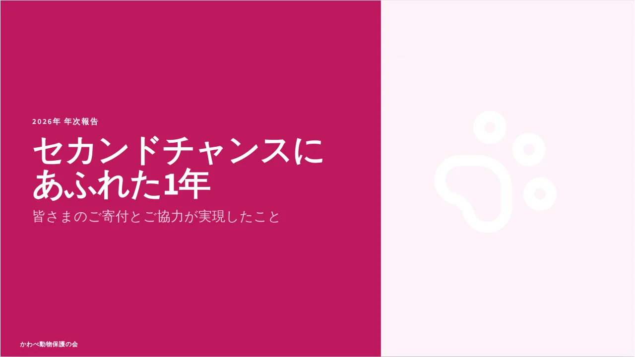 インパクトの1年 のスクリーンショット