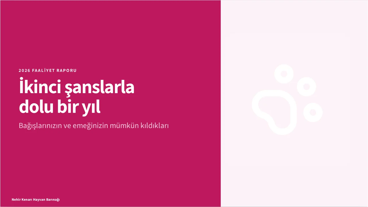Etki Yılı ekran görüntüsü
