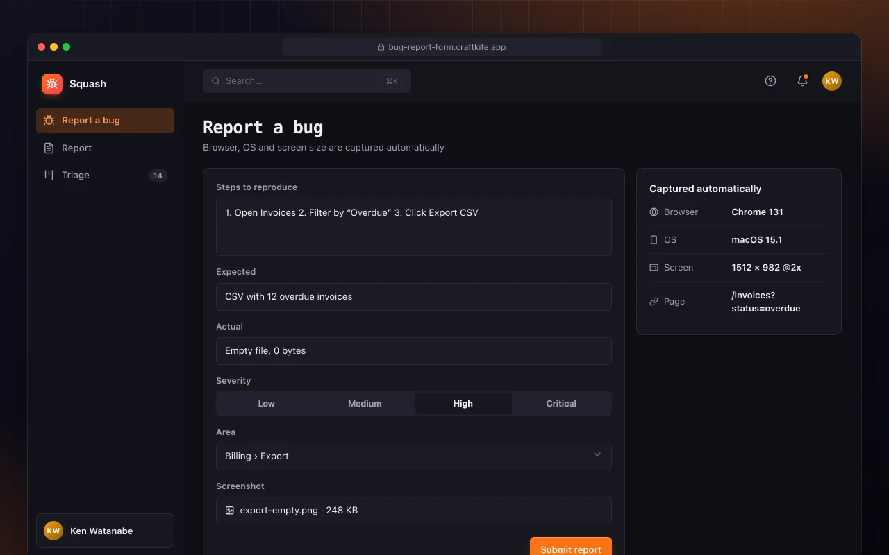 Bug report form: the Report a bug screen