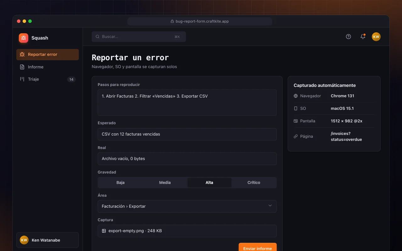 Formulario de informe de errores: la pantalla Reportar un error