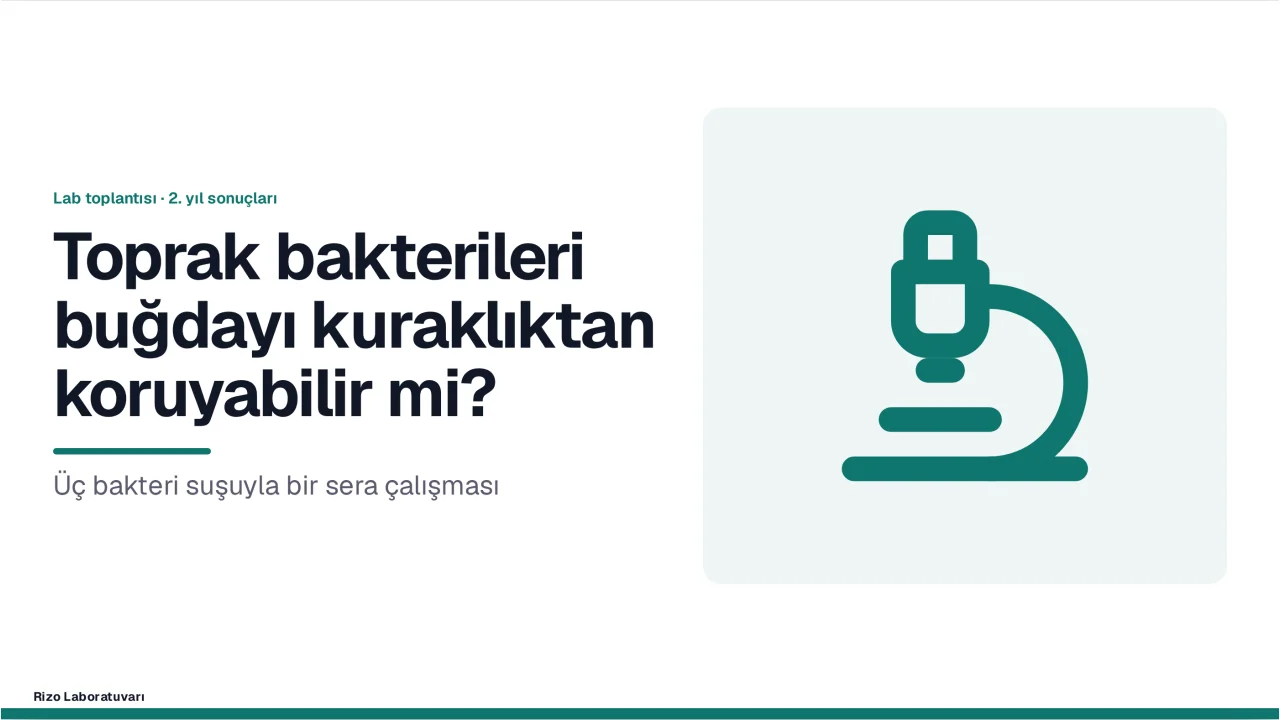 Lab Notları ekran görüntüsü