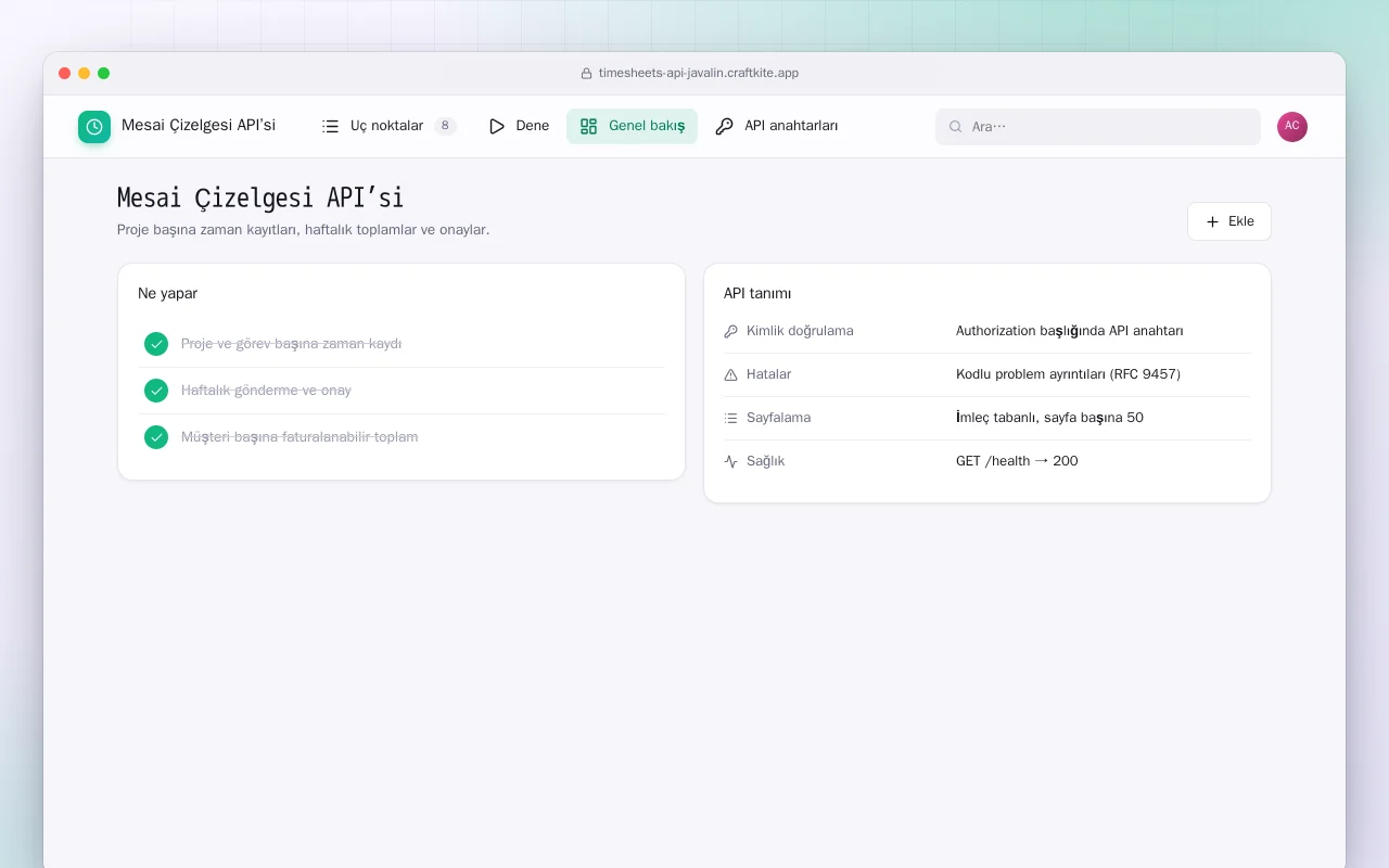 Mesai Çizelgesi API’si (Java): Mesai Çizelgesi API’si ekranı