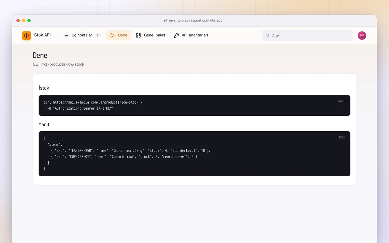 Stok API (ASP.NET Core): Dene ekranı