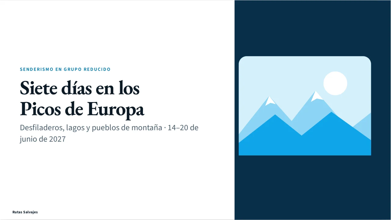 Captura de Viaje