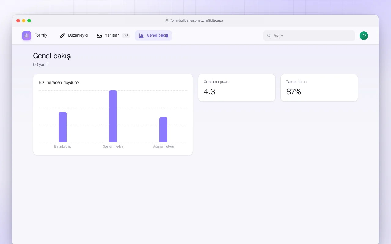 Form Oluşturucu (ASP.NET Core): Genel bakış ekranı