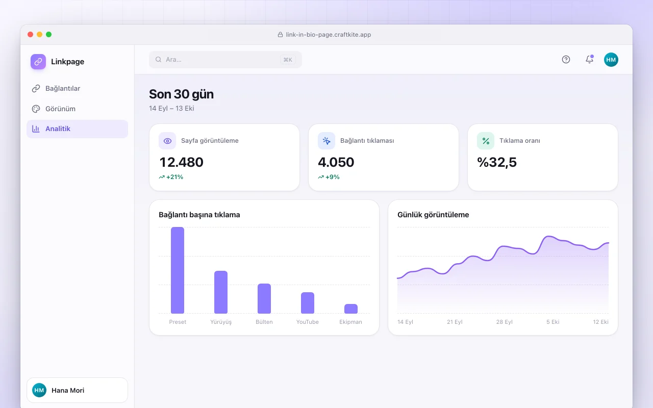 Bio bağlantı sayfası: Son 30 gün ekranı