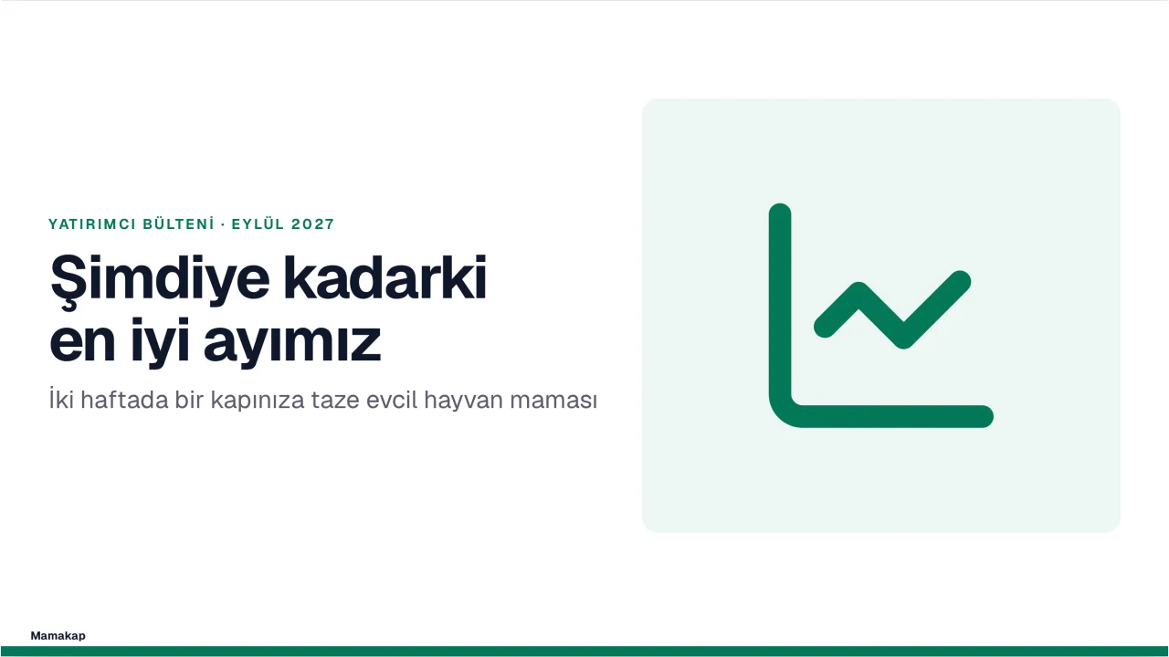 Pist ekran görüntüsü
