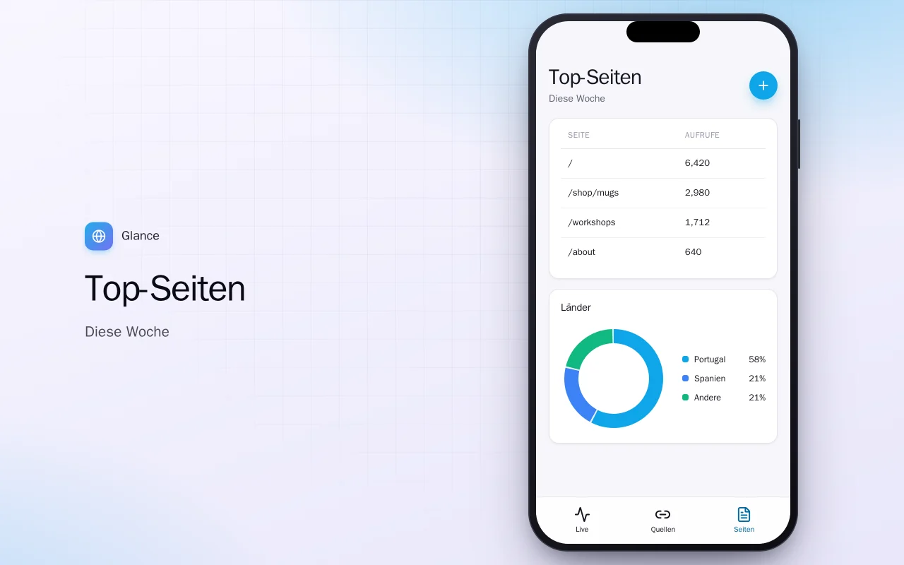 Website-Traffic für unterwegs: der Bildschirm „Top-Seiten“