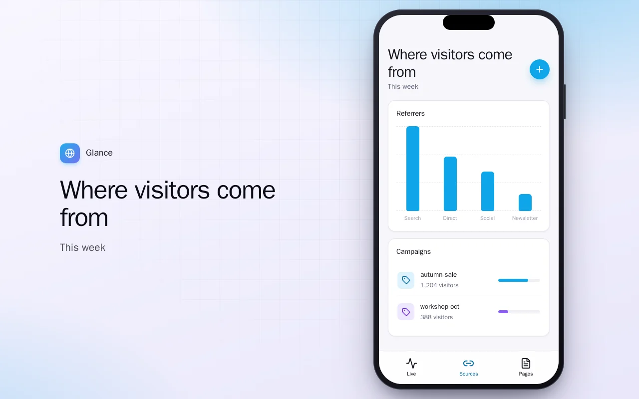 Website traffic pocket: the Where visitors come from screen