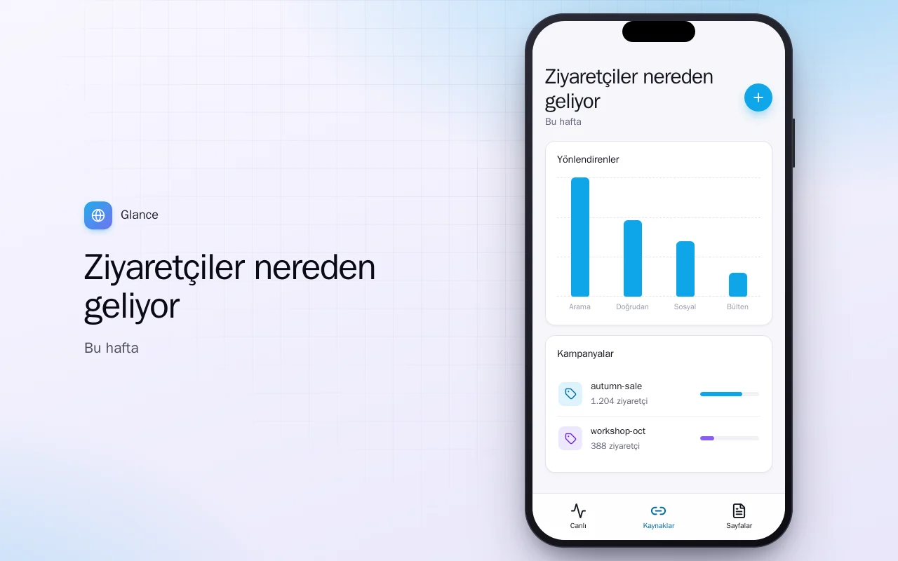 Cepte web sitesi trafiği: Ziyaretçiler nereden geliyor ekranı