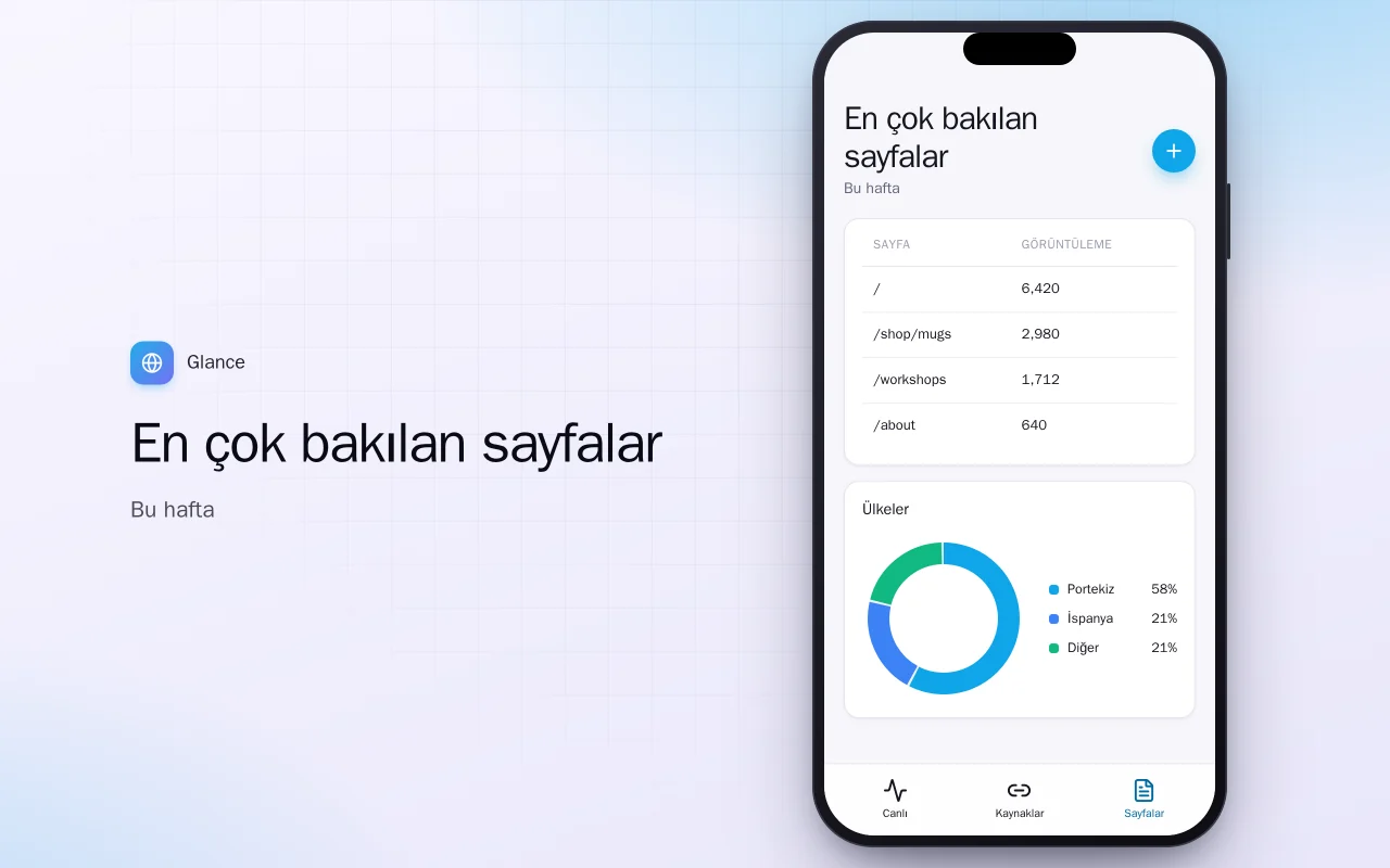 Cepte web sitesi trafiği: En çok bakılan sayfalar ekranı