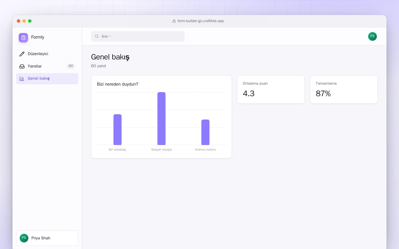 Form Oluşturucu (Go): Genel bakış ekranı