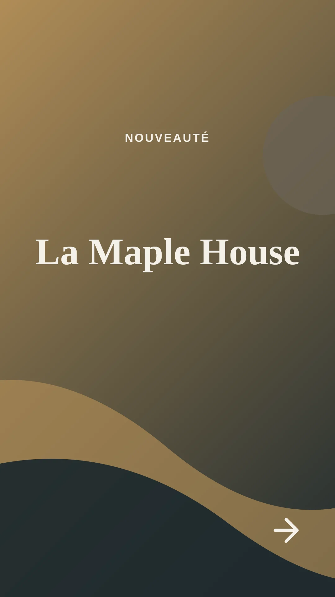 Première image de la vidéo Visite immobilière