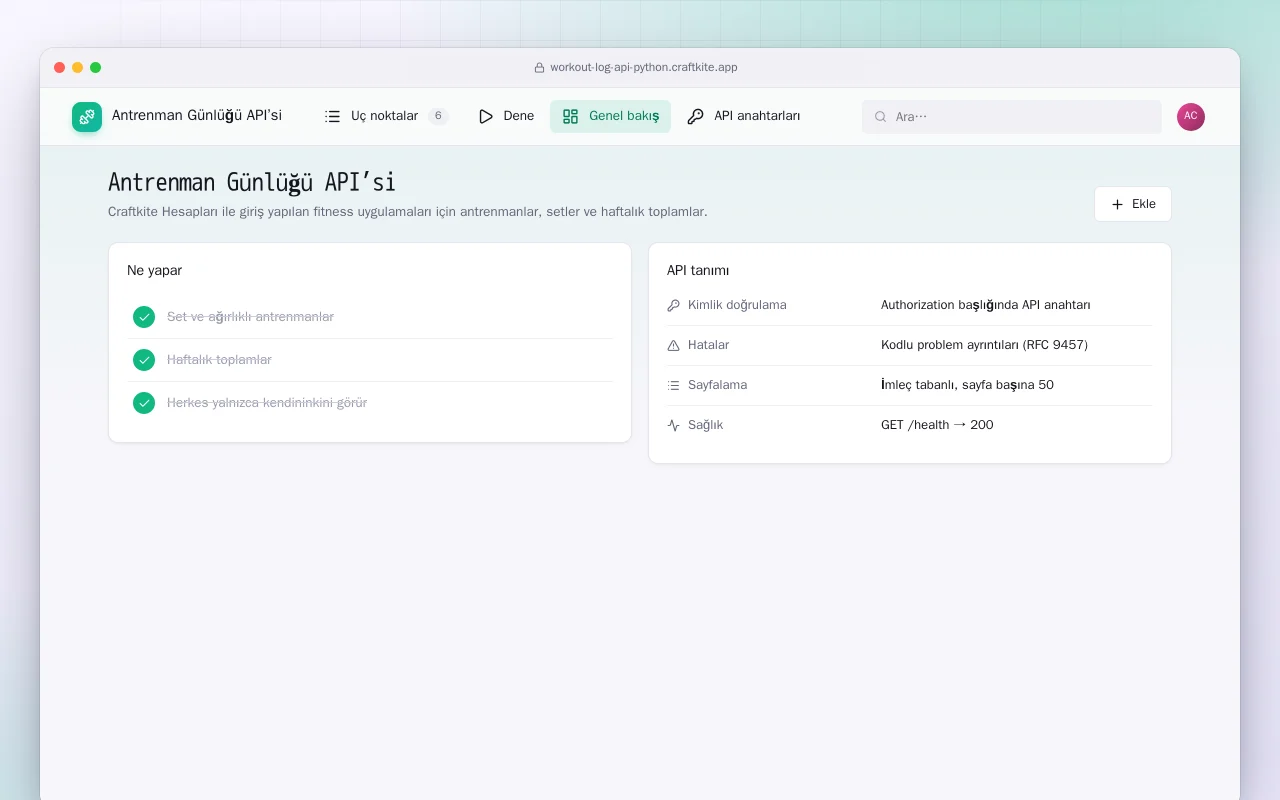 Antrenman Günlüğü API’si (Python): Antrenman Günlüğü API’si ekranı